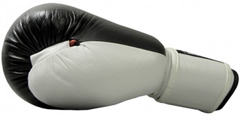 Rękawice bokserskie 10 OZ skóra naturalna MASTERS