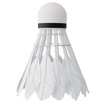 LOTKI Z PIÓR 6 SZT. NILS  NBL6206