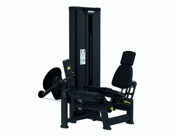 Czworogłowy dwugłowy uda siedząc BMM 11/12 Master