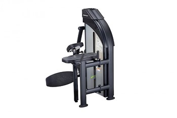 Mięsień Pośladki SportsArt P855
