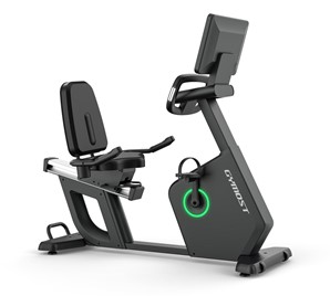 Rower Poziomy Gymost R12 z ekranem dotykowym TFT
