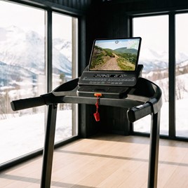 BIEŻNIA Z DWUKIERUNKOWĄ REGULACJĄ KĄTA HMS TERRUN