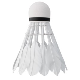 LOTKI Z PIÓR 6 SZT. NILS  NBL6206