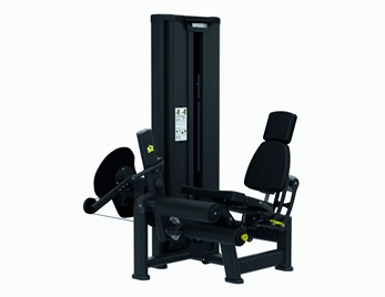 Czworogłowy dwugłowy uda siedząc BMM 11/12 Master