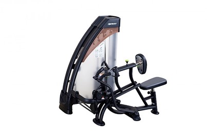 Maszyna na grzbiet SportsArt N921