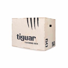 tiguar training box