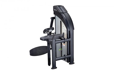 Mięsień Pośladki SportsArt P855