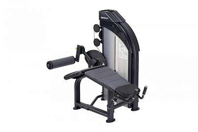 Mięsień dwugłowe uda SportsArt P858
